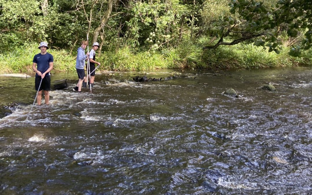 Geographers investigate cities and rivers